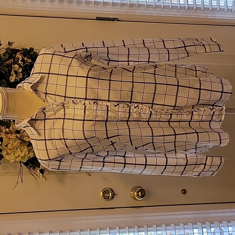 Banana Republic Dillon shirt blue white check pleats buttons 100% cotton S EUC…